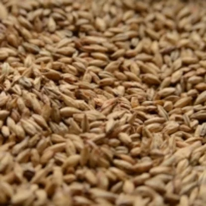 howdybrewer12022501