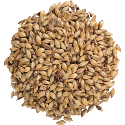howdybrewer12022723