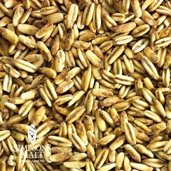howdybrewer12027275