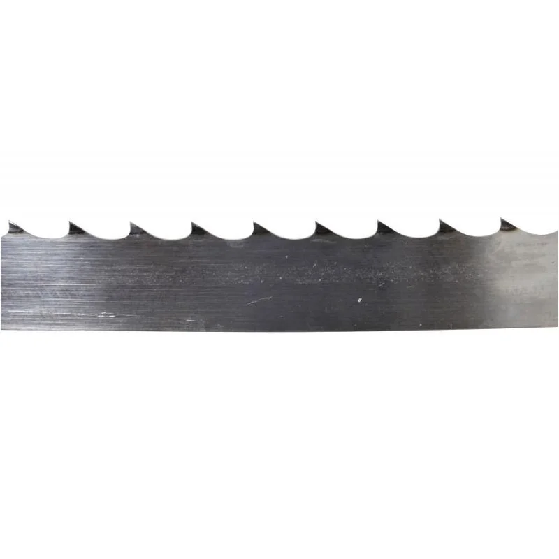 lionsdeal1-2052169